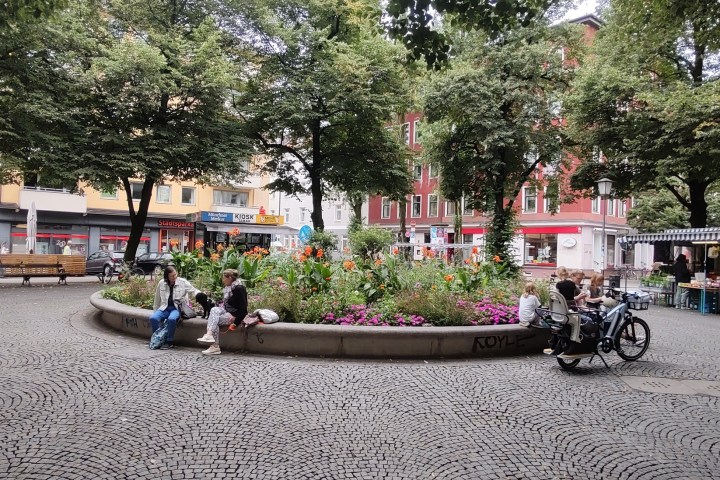 a group of people sitting in a parking lot next to a tree