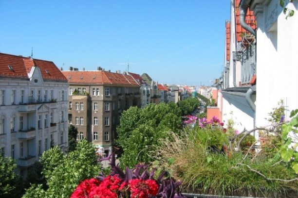 Urban street view with buildings, trees, and balcony plants under blue sky.