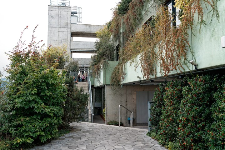 Modern building with greenery-covered walls and outdoor staircase.
