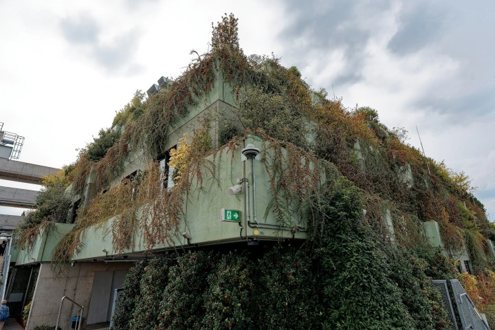 Building covered with green plants and vines under cloudy sky.