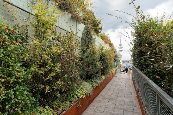 Pathway with greenery and TV tower in the distance.